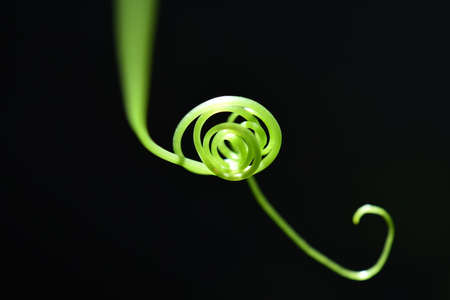 Thai banknotes in the basketの写真素材