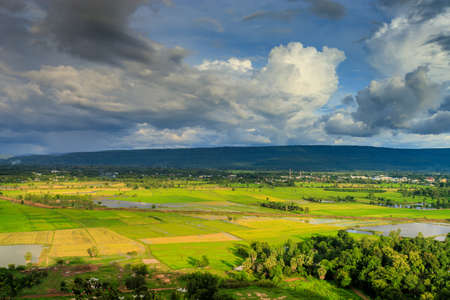 Rice field with rainy season sky