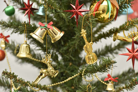 christmas tree in the house