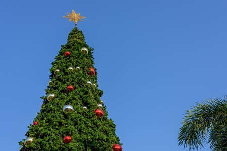 christmas tree blue sky backgroundの写真素材