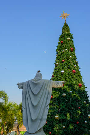 christmas tree blue sky backgroundの写真素材