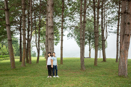 other daughter with pine trees in misty natureの写真素材