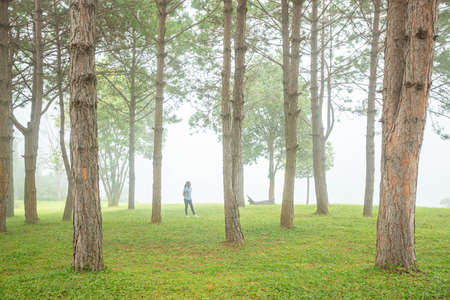 woman with pine trees in misty natureの写真素材