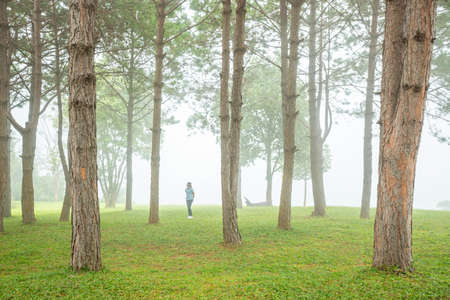woman with pine trees in misty natureの写真素材