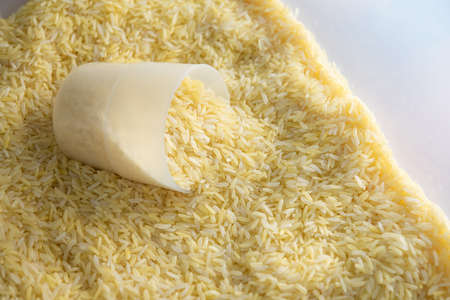 Raw rice in a plastic cupの写真素材