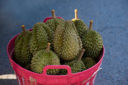 Many durians in the red basketの写真素材