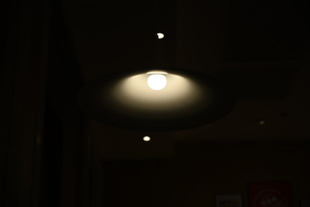 ceiling hanging lights
there is lightの写真素材