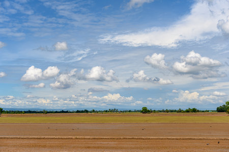 The sky is clear and bright with a few clouds.の写真素材