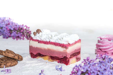 Beautiful piece of cake, marshmallow, cookies and caramel with nutsの写真素材