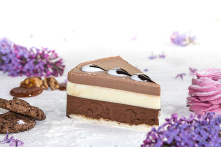 Beautiful piece of cake, marshmallow, cookies and caramel with nutsの写真素材