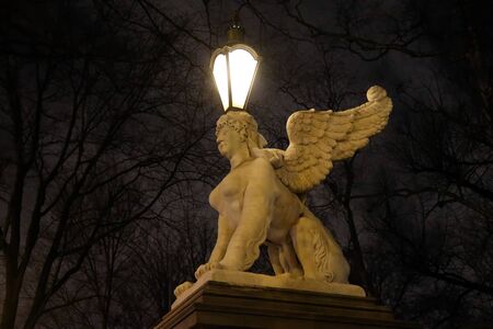 Light in Wertheim Park Amsterdamの写真素材