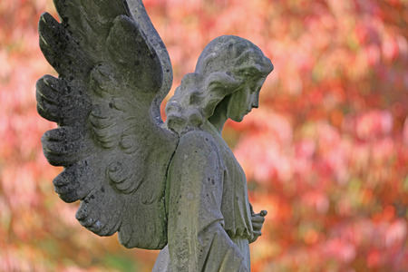 statue of angel and blooming trees at municipal cemetery in Amsterdam, The Netherlandsの写真素材