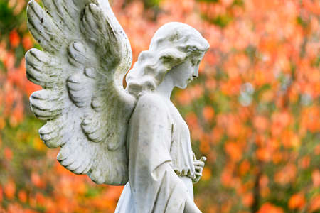 angel statue, close up shotの写真素材