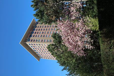 Hotel Okura in Amsterdam, The Netherlands, with blue sky and trees with blossom in springのeditorial素材