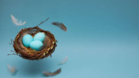 Banner. Easter eggs with feathers in a nest on a blue background. A nest with feathers floats in the air. minimalist concept. Card with copy space.の写真素材