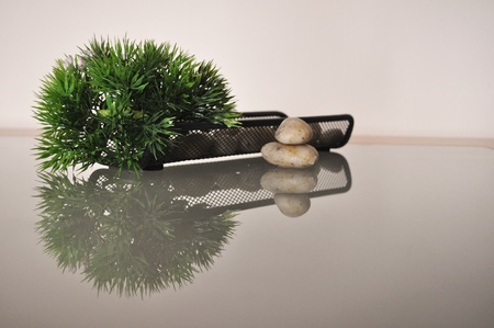 stones and plant on a glass table displaysの写真素材
