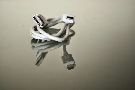 white noble usb cable snake on a reflecting undergroundの写真素材