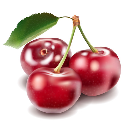Cherryのイラスト素材