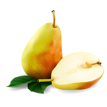 Pearsのイラスト素材