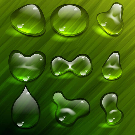 Transparent waterdrops vector templateのイラスト素材