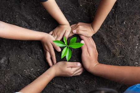Human hands are planting seedlings into the soil. children hands was gently encircled.の写真素材