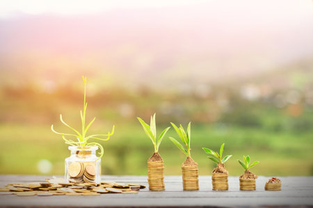 Plant on coins,growing money,finance and investment conceptの写真素材