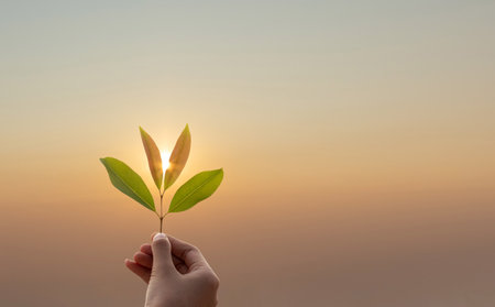 Hand holding leaves on autumn sunny day background