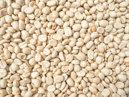 Top view Close up of Raw Coffee beans are not roasted.の写真素材