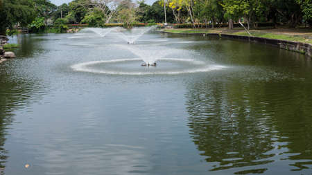 Fountain in parkの写真素材