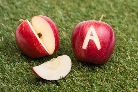 Apple on green grass and alphabet.の写真素材