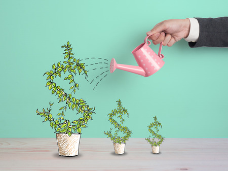 Top view Investment is like planting trees. Take care it will provide a good growth on colorful background.Watering can and money tree drawn concept for business investment, savings and making money.の写真素材