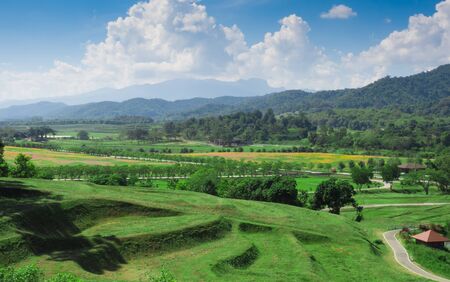 Panorama Green tea plantation landscape, Chiang Rai, Thailand.の写真素材