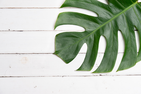 Aromatherapy  product  Spa set, flat lay composition.Tropical leaf concept style., massage with pink background. top view. Monstera leaves template, tropical summer fashion background.の写真素材