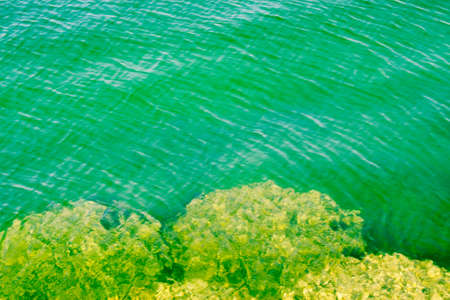 Abstract background with water ripples on the sea.の写真素材