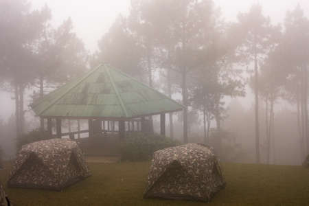 Camping tents under the sea mist on doi pha hom pok national park Chiang Mai province Thailand.awesome mistの写真素材