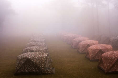 Camping tents under the sea mist on doi pha hom pok national park Chiang Mai province...