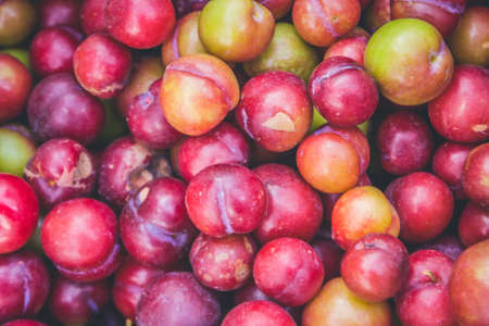 Close-Up View Of Plum Colorful Freshness Scattered. (View From Above)の写真素材