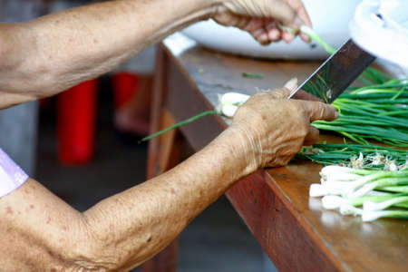 Hands Of An Elderly Woman Preparing Onions For Cooking.の写真素材