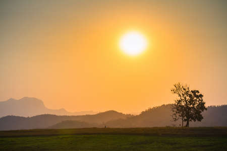 Image View Of The Sunset At Evening Sky Background.の写真素材