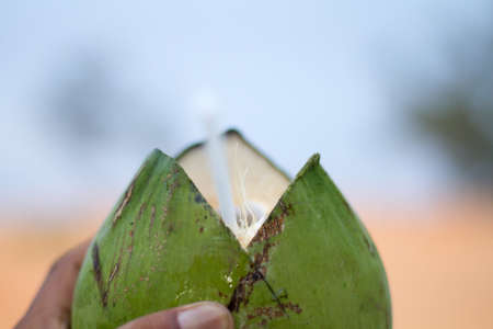 Hand Of Adult Holding Having Fresh Coconut Water.の写真素材