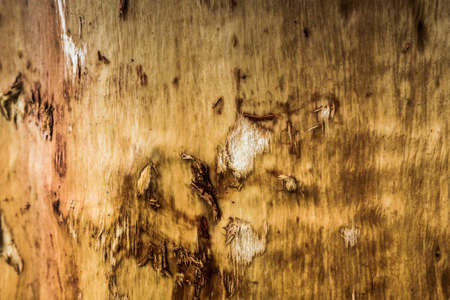 Brown Abstract Image For Surface Of Wooden.