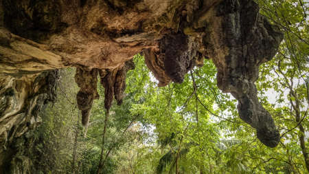 Cave At Khao Kha Nab Nam Ecotourism And Community Life Klongprasong Krabi Province Thailand.の写真素材