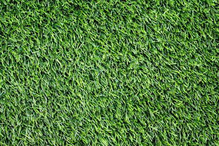 Green Artificial Grass Field Top Of View.