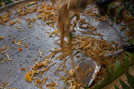 Pad Thai Or Thai Stir-Fried Noodles Mixed Variety Of Vegetable.の写真素材