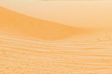 Sand Dune (White Desert) Is Popular Tourists Attraction In Mui Ne, Vietnam.の写真素材