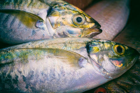 Close-Up Of Freshness Mackerel.