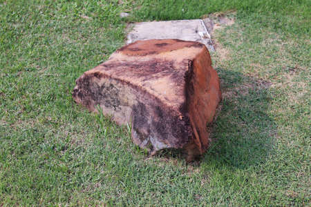 rock in the garden imagesの写真素材