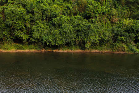 the nature green riverside water of saybye riverの写真素材
