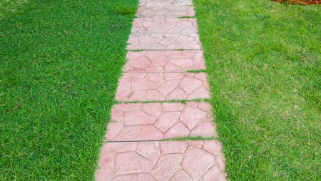 walkway garden,pathway in garden green lawnsの写真素材
