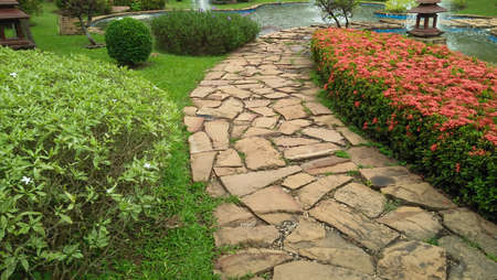 shrub .  shrub garden image of style relax garden